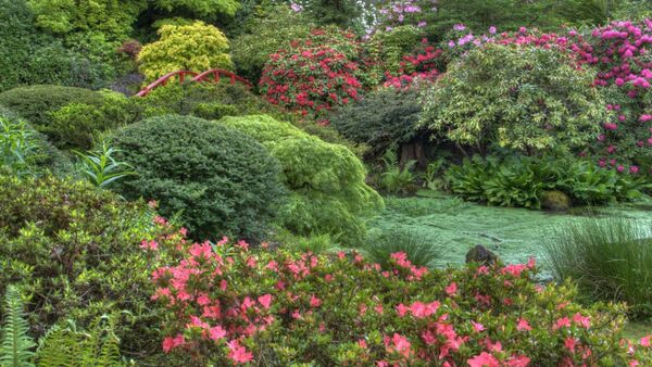 Feuilles et lumière du soleil créant des tons verts apaisants